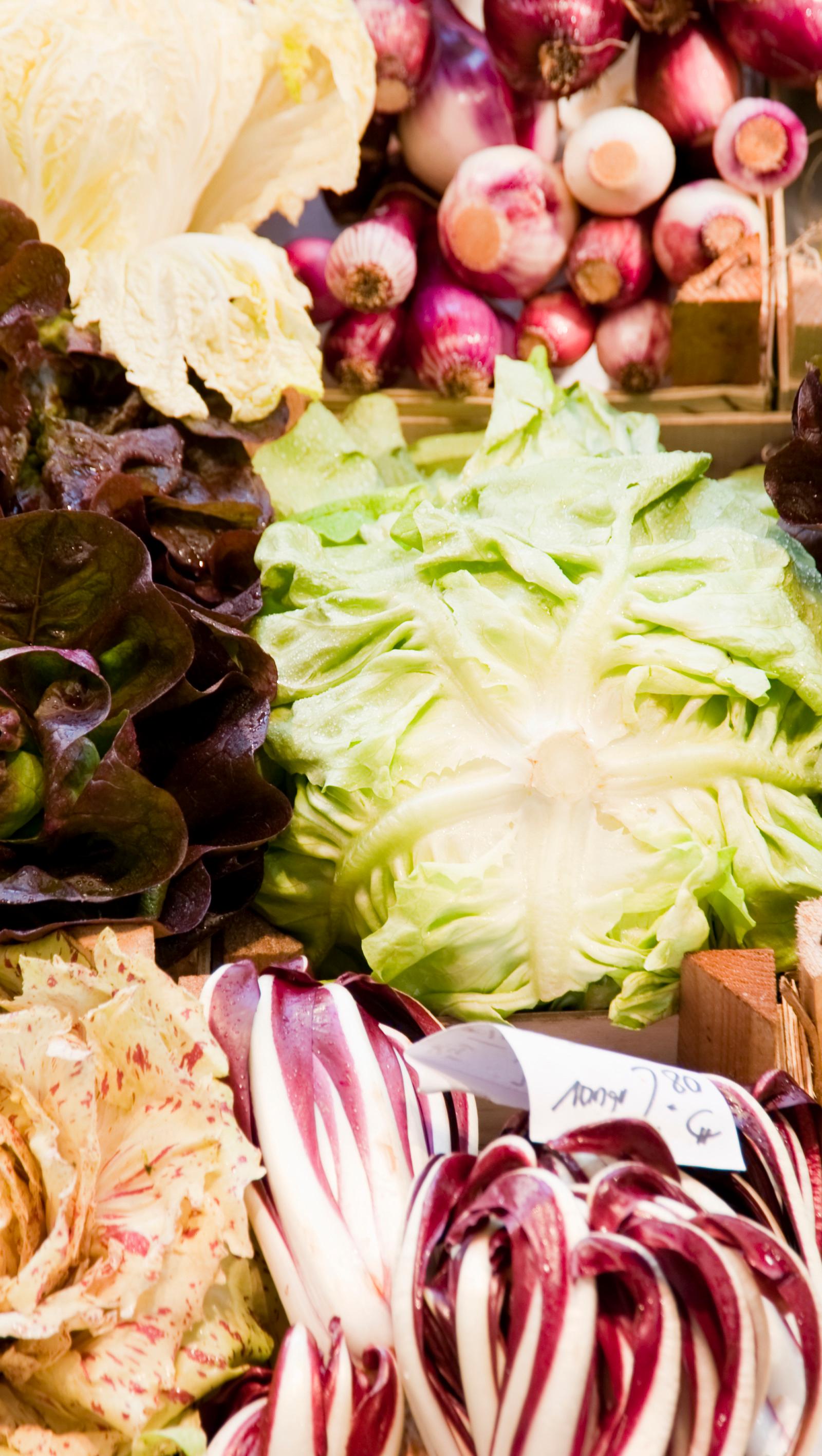 Adelaide CBD's 70+ Market Stalls Reveal Local Food Gems, Costs Explained