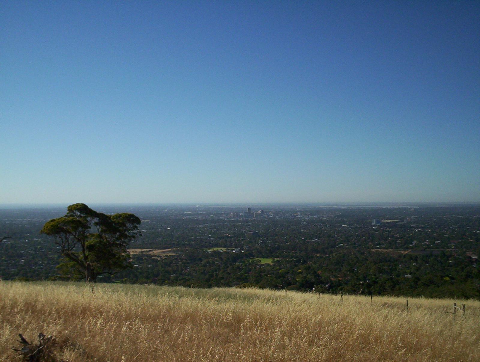 CBD from Brown Hill panoramio